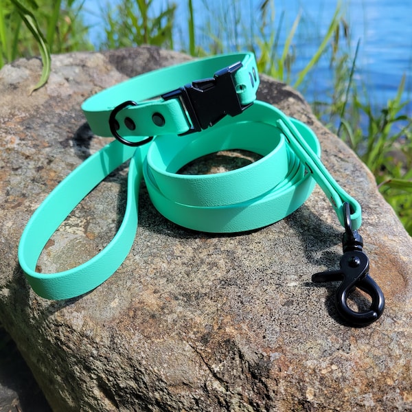 Quick Release Biothane® Dog Collar/Leash Set 1" or 3/4", Waterproof Dog Collar, Vegan Leather Dog Collar, Adjustable Quick Release Collar