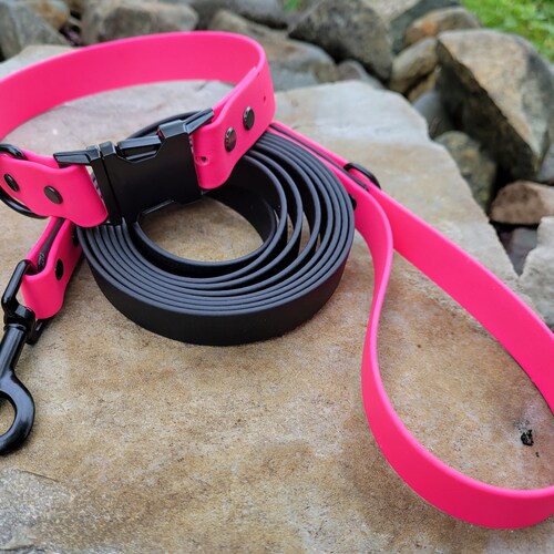 1 Wide Traditional Biothane Dog Collar Waterproof Dog Etsy Canada