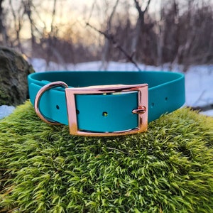 1&quot; Wide Traditional Biothane® Dog Collar, Waterproof Dog Collar, Vegan Leather Dog Collar, Adjustable Biothane Dog Collar