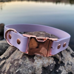 Collier pour chien en Biothane® à dégagement rapide de 2,5 cm (1 po.), Collier pour chien imperméable, Collier pour chien en cuir végétalien, Collier à dégagement latéral réglable