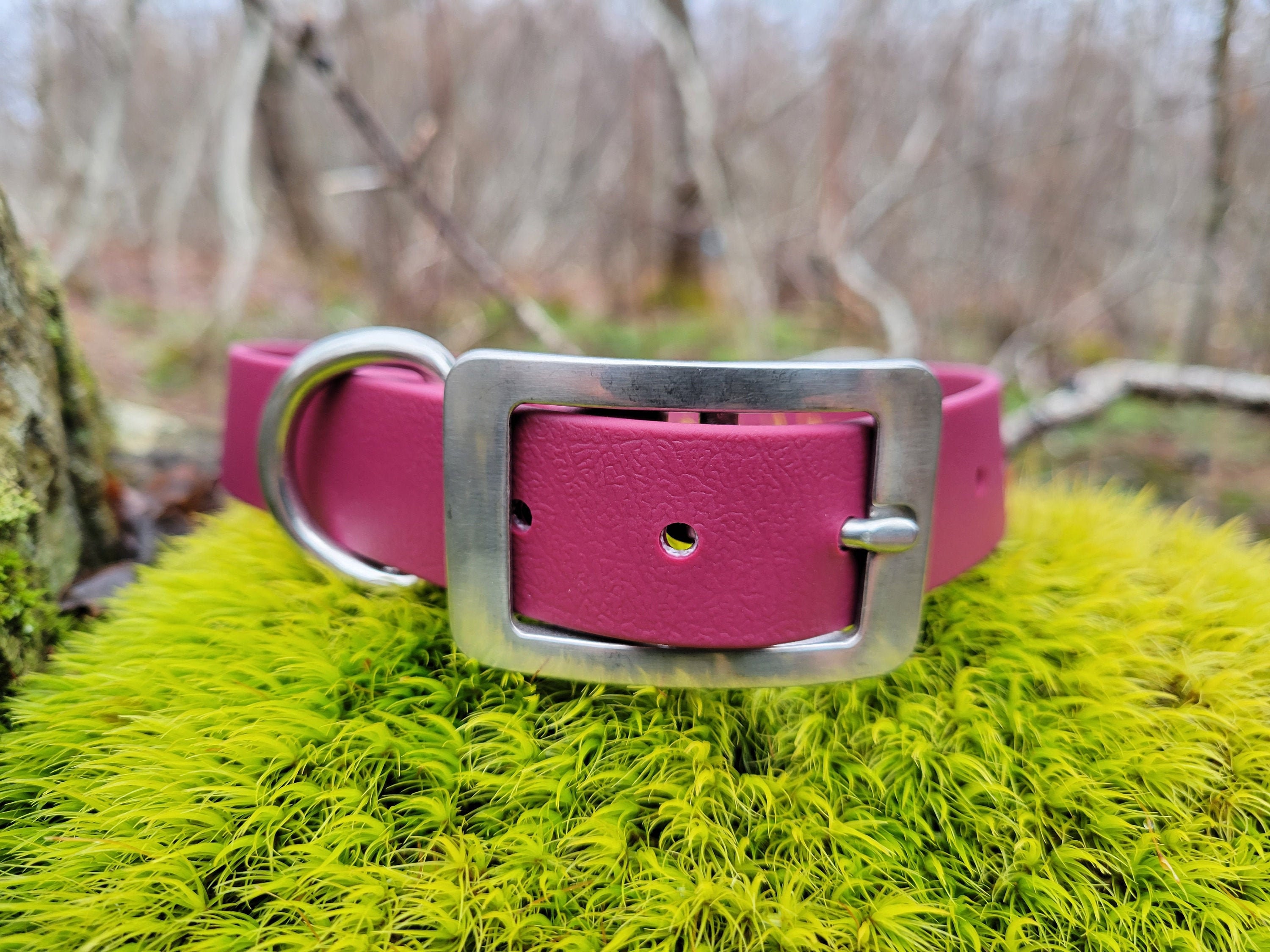 1 Wide Traditional Biothane Dog Collar Stainless Steel Etsy Canada