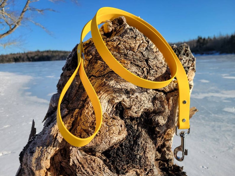 1 Wide Biothane Leash Single Color Waterproof Leash Vegan Leather Leash