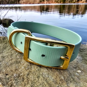 1&quot; Wide Solid Brass Biothane® Dog Collar, Waterproof Dog Collar, Vegan Leather Dog Collar, Adjustable Biothane Dog Collar, Gold Hardware