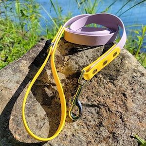 3/4&quot; Wide 2 tone Biothane® Leash, Waterproof Leash, Vegan Leather Leash