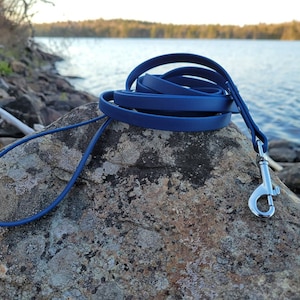 1/2&quot; Wide Biothane® Leash Single Color, Waterproof Leash, Vegan Leather Leash, Puppy Leash, Small Dog Leash