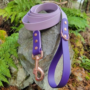 1&quot; Wide Biothane® Leash 2 Tone Color, Waterproof Leash, Vegan Leather Leash, Easy to Clean Leash