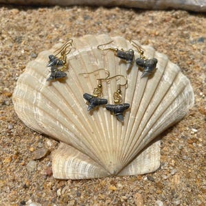 18k Gold Plated Fossil Shark Teeth Earrings