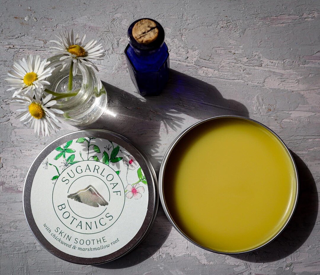 Chickweed and Marshmallow Salve Etsy
