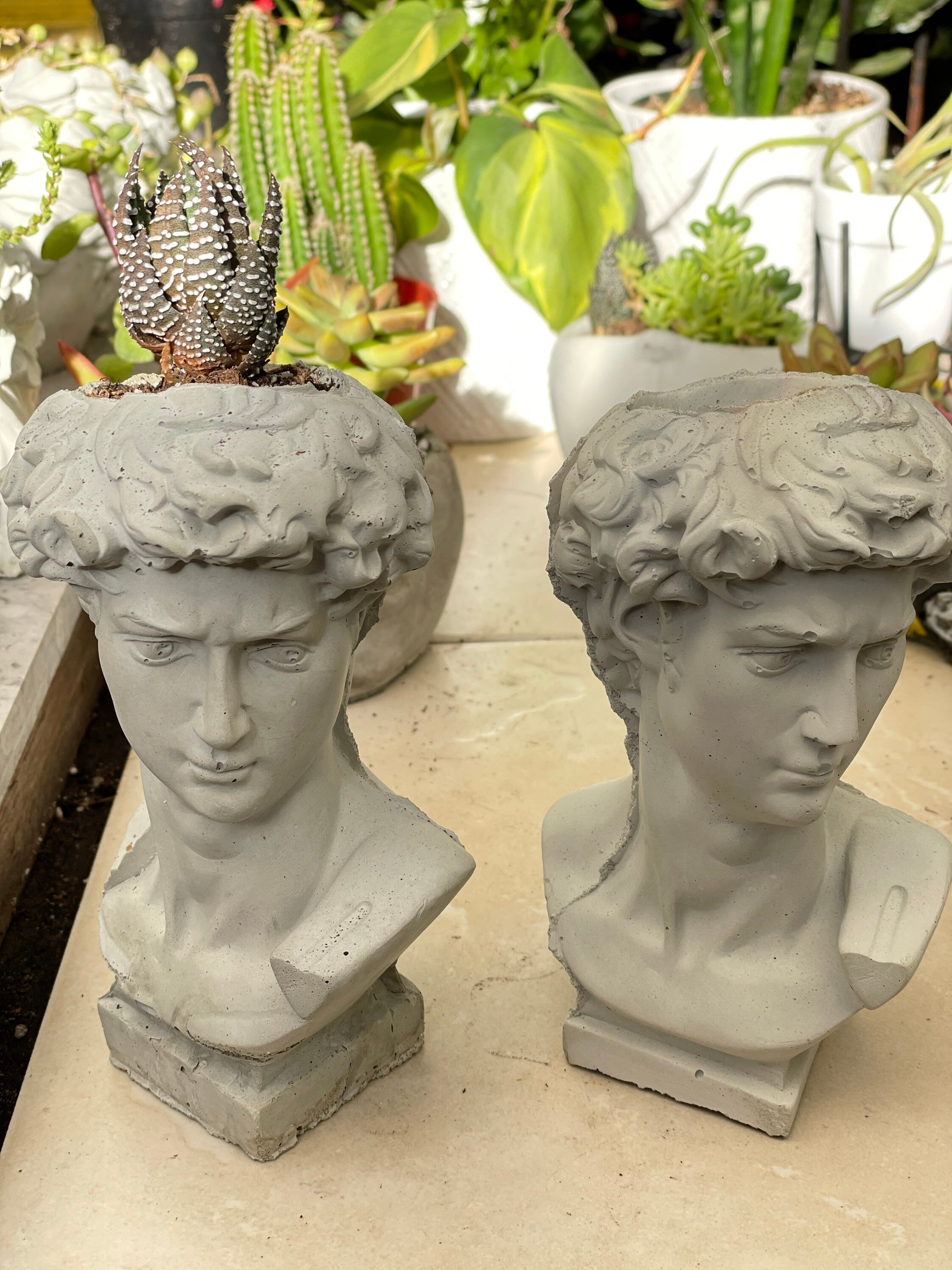 David head planter Etsy