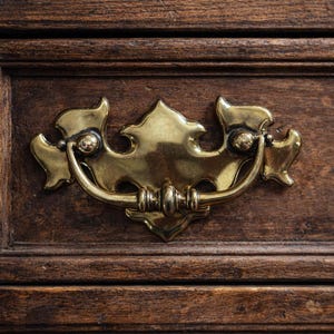 May include: Close-up of a wooden cabinet drawer with a decorative brass handle. The handle has an ornate design with a curved bar and decorative flourishes. The wood has a rich, dark brown colour.