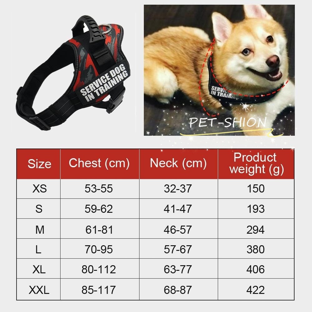 Personalized Dog Harness Customized Dog Harness with ID Tags Etsy