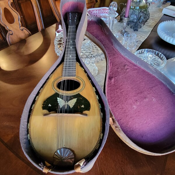 Bowl Back Mandolin Case Etsy