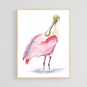 Roseate Spoonbill - Giclee Bird Art Print - Unframed