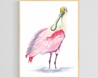 Roseate Spoonbill - Giclee Bird Art Print - Unframed