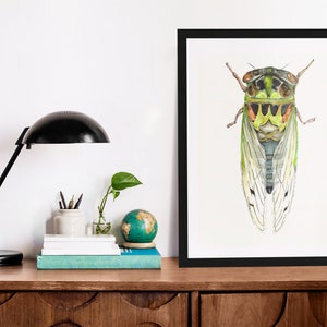 Watercolor Cicada Giclee Insect Art Print Unframed image 2