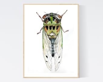 Watercolor Cicada - Giclee Insect Art Print - Unframed