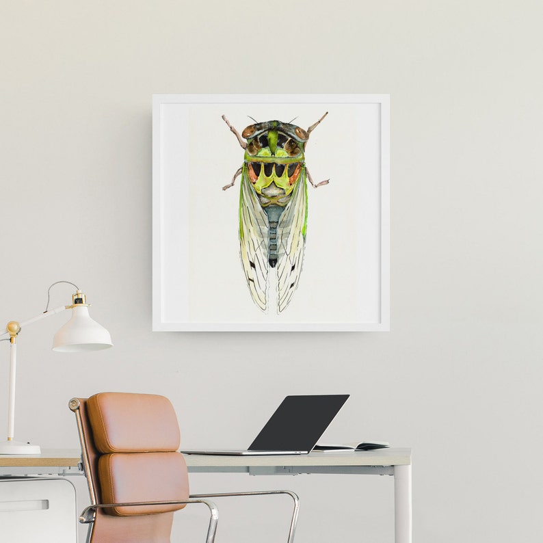 Watercolor Cicada Giclee Insect Art Print Unframed image 7