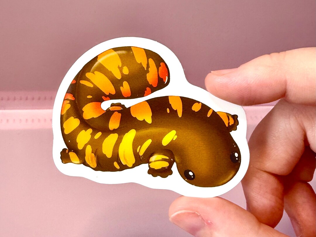 Hellbender Salamander Sticker: Weatherproof Vinyl Amphibian Decal ...