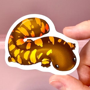 May include: A sticker depicting a cartoon salamander. The salamander has a brown body with orange and yellow markings. It is curled up and has small, black eyes. The sticker has a white border and a glossy finish.
