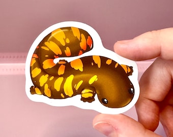 Sticker salamandre hellbender : sticker amphibien en vinyle résistant aux intempéries