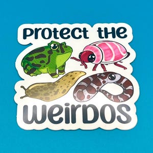 Protect the verqueros Aufkleber |  Bujo Papier Planer Planer Planer Planer Planer Papier Marienkäfer Pflanzen bunt Frosch Käfer Marienkäfer
