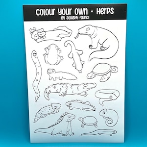 Pode incluir: Uma folha imprimível em preto e branco com o título "Colore os seus próprios - Herps" de "Squishy Fauna". A folha apresenta 12 ilustrações diferentes de répteis e anfíbios, incluindo uma tartaruga, um lagarto, uma salamandra e um sapo, prontas para serem coloridas.