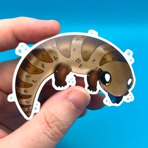 Vinyl Aufkleber für Flaschen, Laptop, Planer, wetterfest, glänzend Reptilien Herpetologie Eidechsen niedlich Kunst