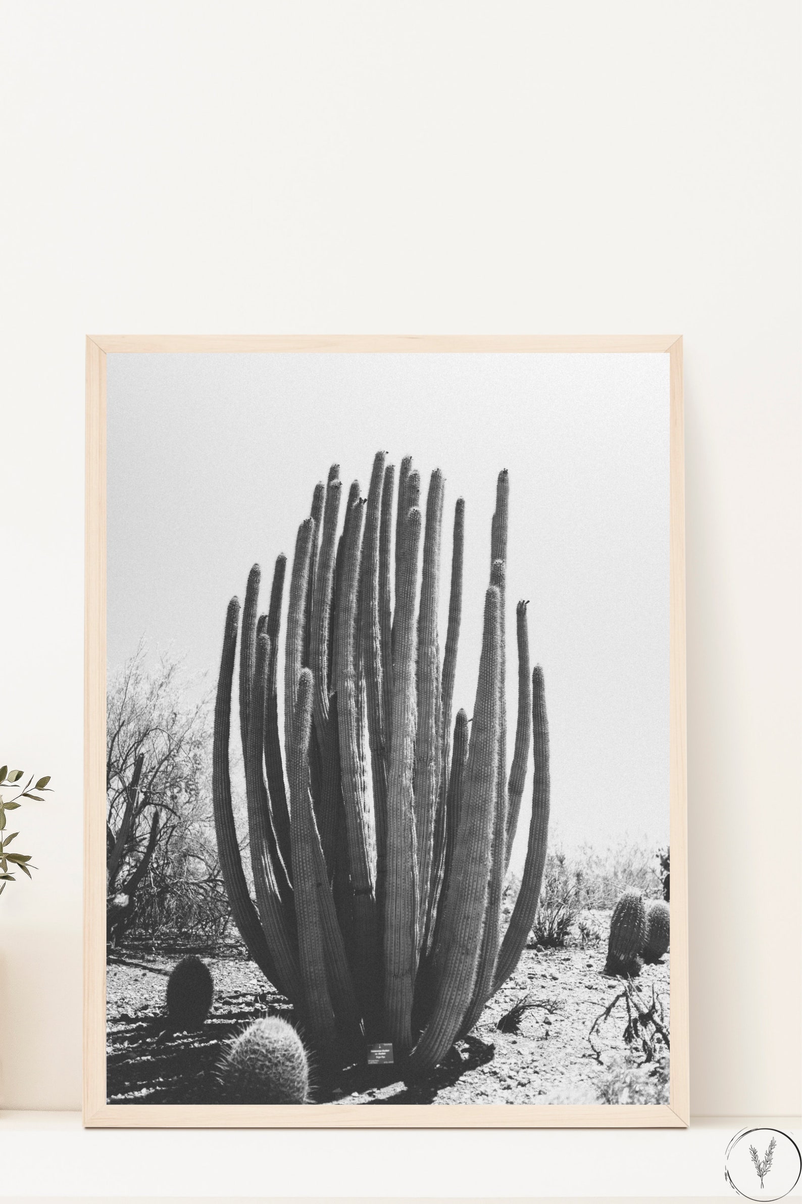 Black and White Arizona Desert Art, Cactus Wall Art, Desert Print ...