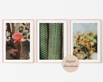 Cactus Flower Wall Art, Set of 3 Desert Prints, Arizona Wall Art, 3 Piece Print Set, Arizona Desert, Boho Print, Modern Wall Art