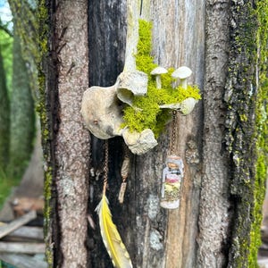 Cow Vertebrae Mobile