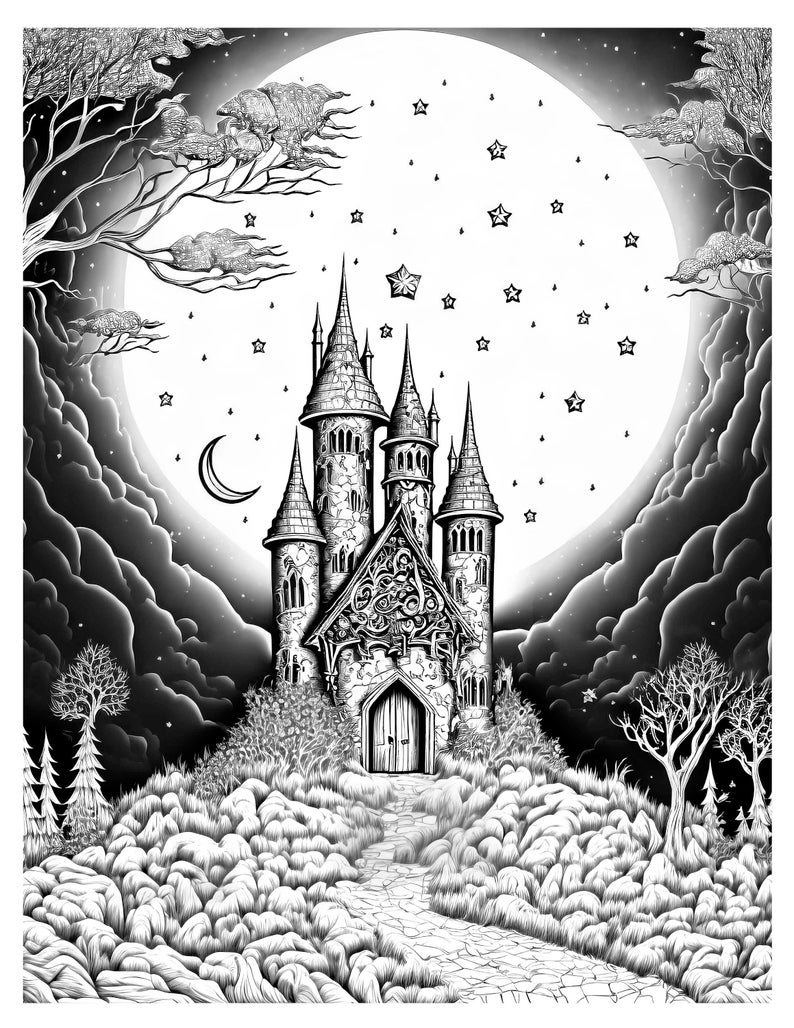 Fantasy Castles Coloring Book Vol 01 Etsy