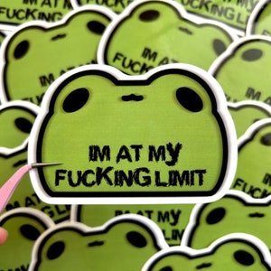 I'm at my limit frog sticker/Meme frog/cute frog sticker/froggy sticker/cute Kawaii meme toad/digital art/illustration/ Meme sticker