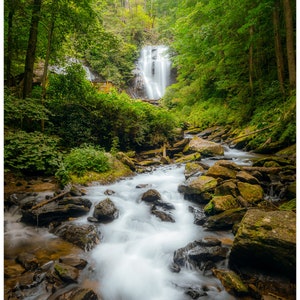 May include: A cascading waterfall flows through a lush green forest, with a clear stream running in the foreground. The water is flowing over rocks and creating a white, foamy effect.