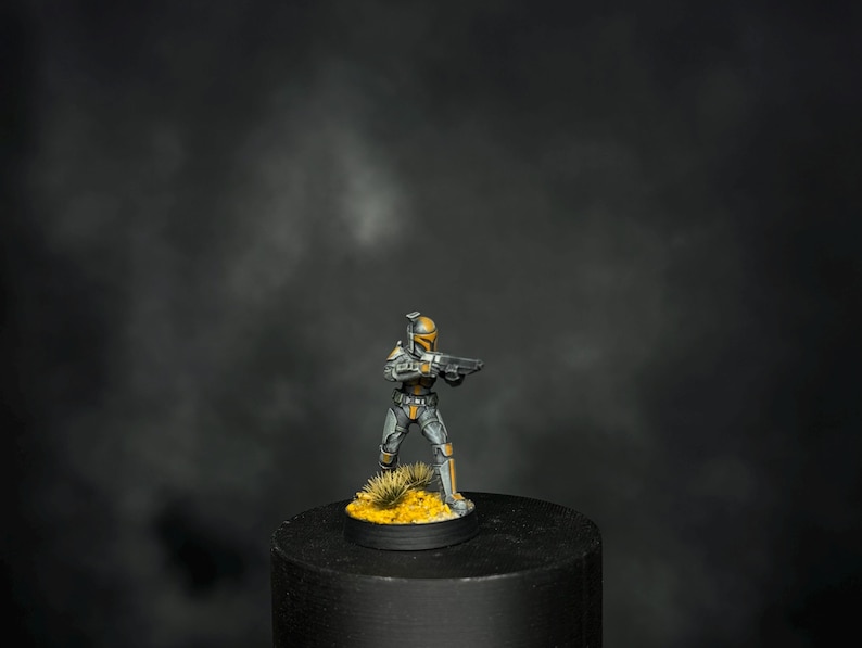 Clan Wren Mandalorian Clan Handpainted Legion Figures Set || 32mm 5 pieces Star Wars image 13