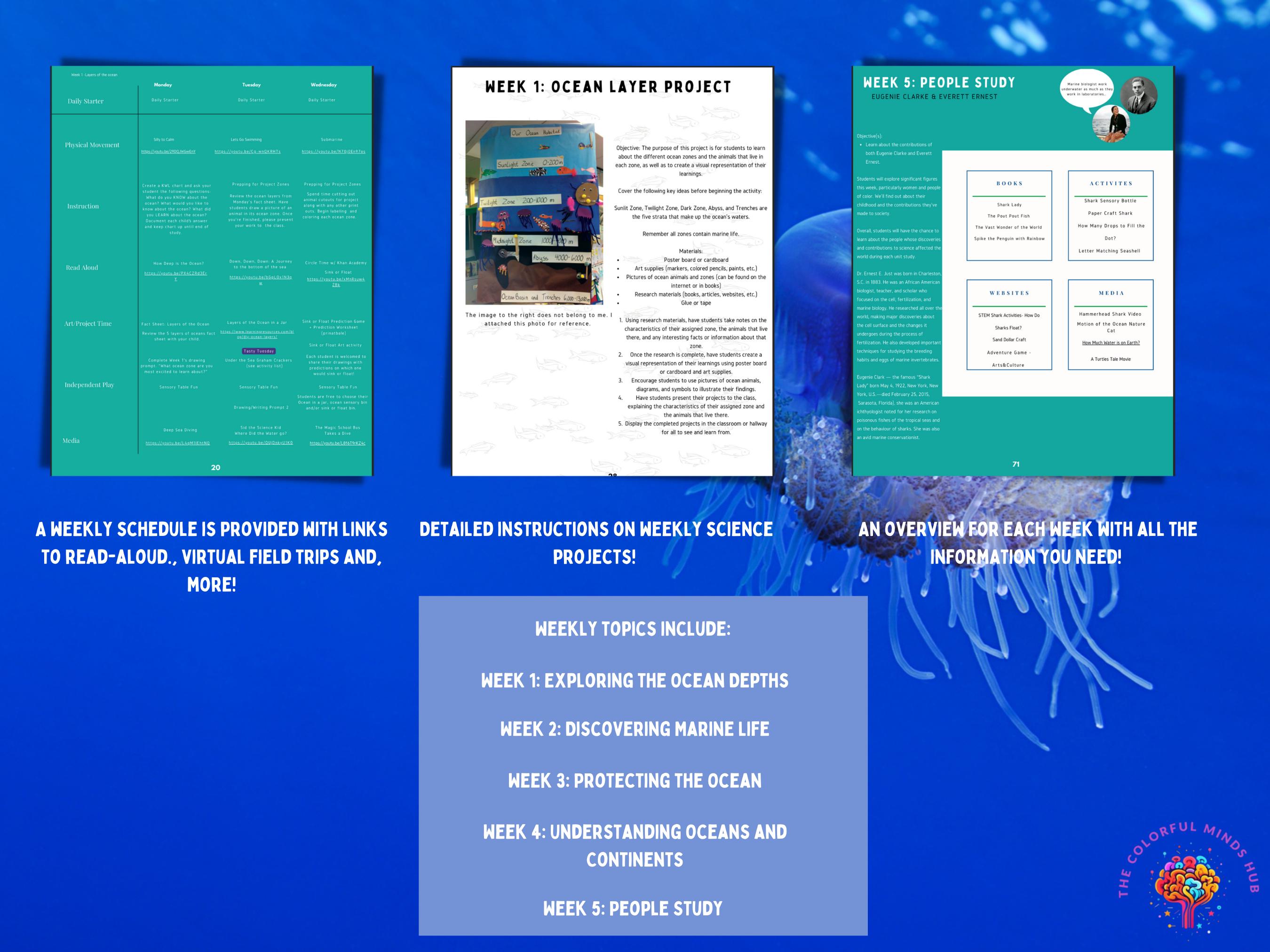 Ocean Unit Study, Homeschooling, Under the Sea, - Etsy