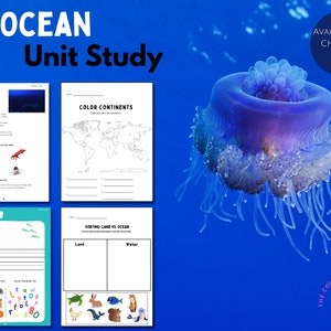Ocean Unit Study, Homeschooling, Under the Sea,