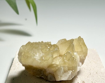 Dog-tooth Calcite Cluster in Soft Yellow — Natural Pointed Calcite Crystal for Home Decor & Collection