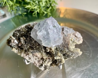 Yaogangxian fluorite with arsenopyrite matrix and / Yaogangxian Mine