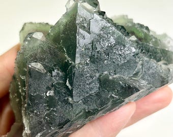 Rare Deep Green Nipple Fluorite Cluster Raw Fluorite Specimen Natural Green Mineral Collectible Display Stone