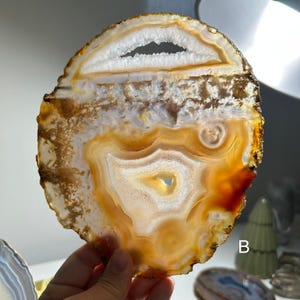 May include: A polished agate slice with a natural, organic design. The stone features concentric bands of white, orange, and brown hues, with a central cavity. The edges are rough, showcasing the stone's raw form. A decorative item.