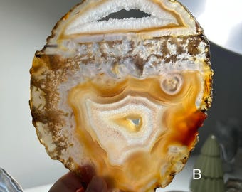 May include: A polished agate slice with a natural, organic design. The stone features concentric bands of white, orange, and brown hues, with a central cavity. The edges are rough, showcasing the stone's raw form. A decorative item.