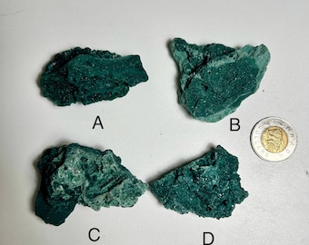 Marshy Botryoidal Chalcedony | Textured Green Chalcedony Crystal from India | Organic Bubble Form Mineral Specimen