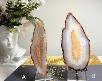 May include: Two agate slices, displayed on clear stands, showcase natural patterns. The slices feature bands of orange, white, and brown hues. One is labeled "A" and the other "B". The background includes a bust and a book titled "History of the World Map by Map."