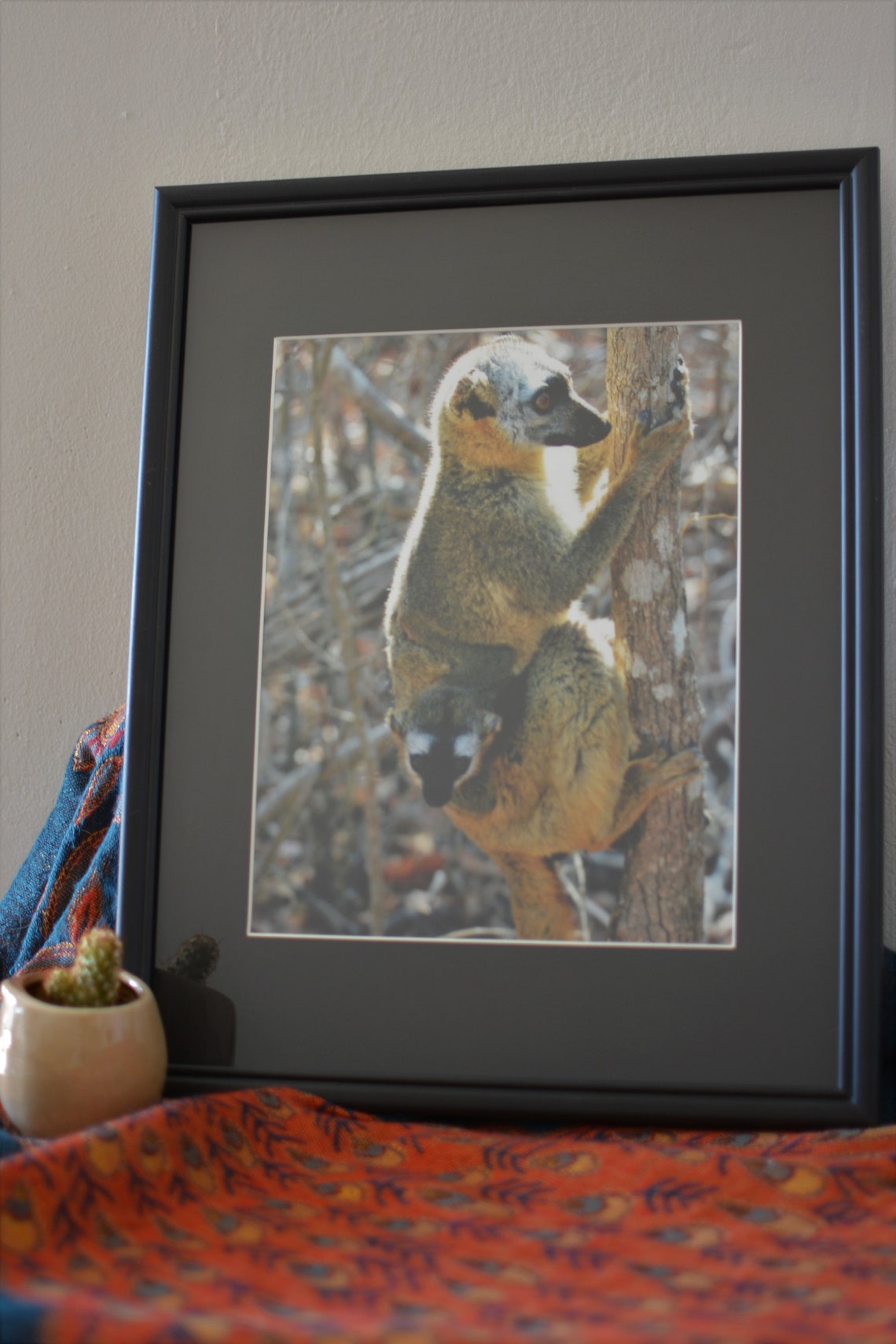 Wildlife Photography Print Matted and Readytoframe Etsy