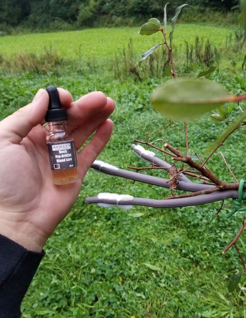 Smokey's Preorbital 4 Buck Compound Gland Deer Lure 1/2oz. Etsy