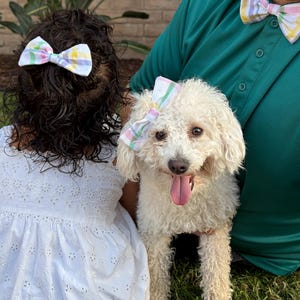 May include: A white poodle with a pastel plaid bow, held by a person wearing a green polo shirt and a matching bow tie. A child with a similar bow is also present. The child is wearing a white eyelet dress.