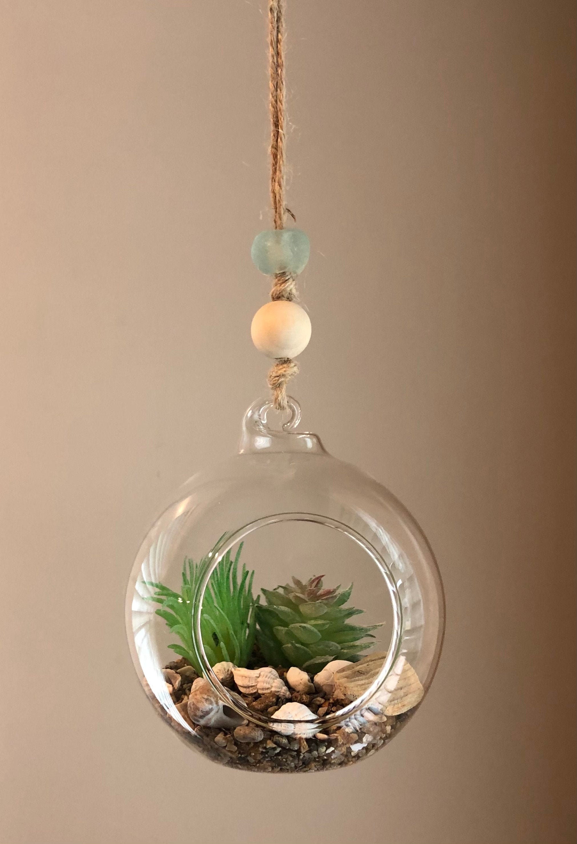 Hanging Globe Terrarium Etsy