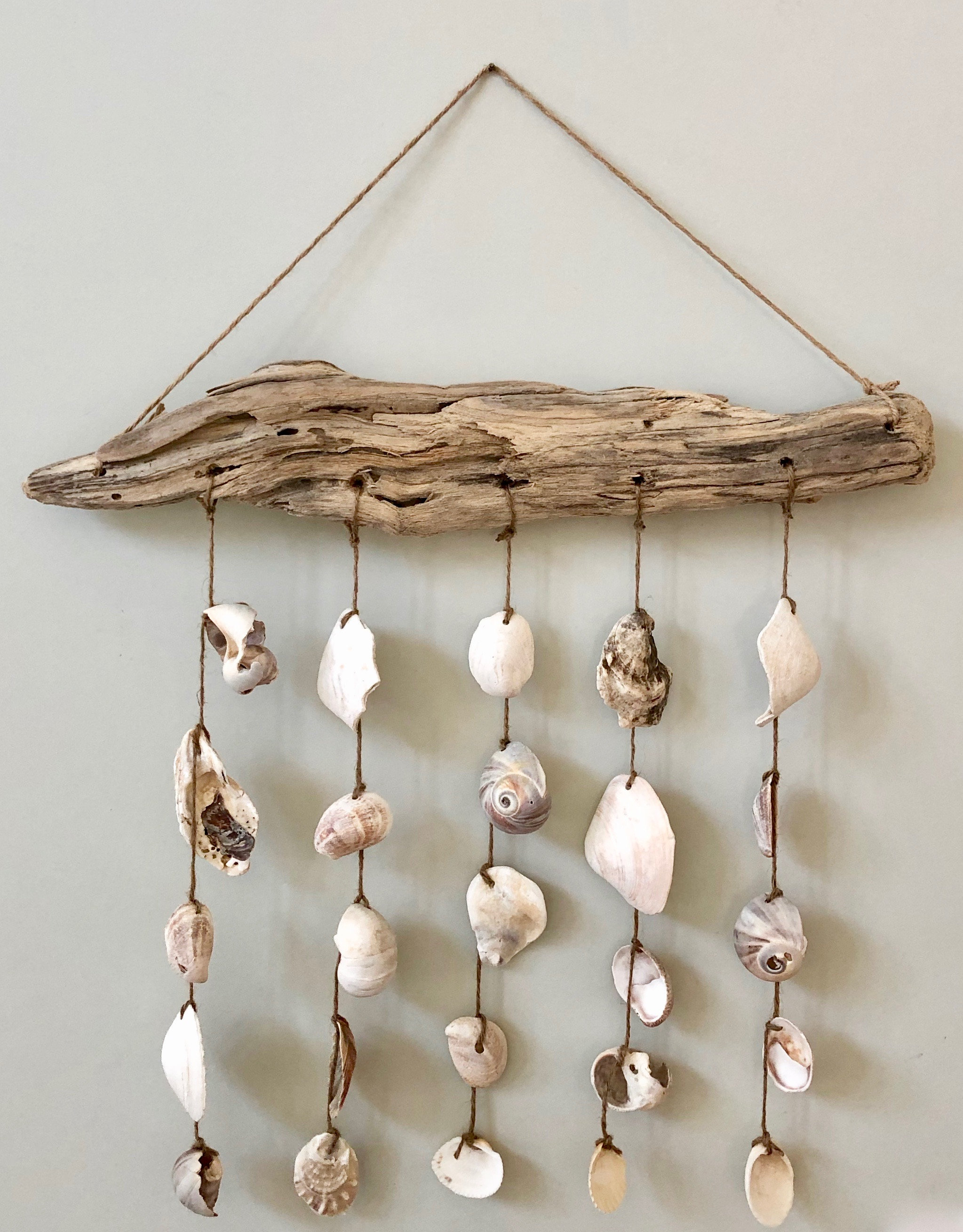 Driftwood Shell Wall Hanging Etsy