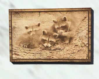 Laser Engraved Raccoon Picture: Wooden Wall Decor