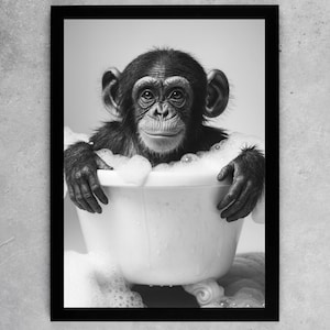 May include: Monochrome framed print featuring a chimpanzee in a white bathtub surrounded by bubbles. The chimpanzee is looking at the camera. The print is in a black frame.